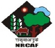 National Research Centre for Agroforestry - NRCFA Logo - JPG, PNG, GIF, JPEG